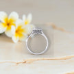 Moissanite Solitaire halo Ring RG-MD-SL-200/29