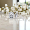 Emerald Cut Moissanite  925 Sterling Silver Studs Earrings